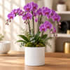 Purple orchids arranged in a white pot on a wooden table