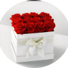 A dense cluster of vivid red roses crowns a crisp white square