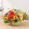 Colorful flower arrangement in a green pumpkin-shaped container
