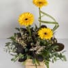 Yellow gerbera daisies in a wooden box with mixed greenery