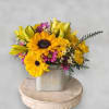 Introducing our sunshine in a cube! This radiant yellow flower arrangement, nestled
