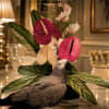 Glossy anthuriums in fuchsia, blush pink, red and ivory make a striking