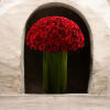 A dense dome of velvety red roses gathered into a sculptural, rounded