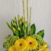 Yellow gerberas and tulips arranged with bamboo in a white container