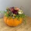 Floral arrangement in a pumpkin-shaped container with colorful blooms and curly greenery