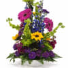 Bring bold color and joyful energy into any space with our vibrant