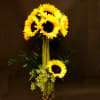 Tall sunflower arrangement in a glass vase with decorative stones