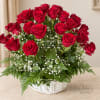 Red roses arranged in a white basket with baby's breath