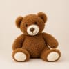 Brown teddy bear plush sitting against a plain background