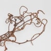 Curly brown decorative vine on a plain light background