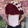50 red roses with butterflies
75 red roses with butterflies
100 red roses with