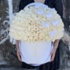 FRESH CUT ROSES
Standard 100 white roses with white and gold butterflies in