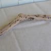 Driftwood branch resting on a light gray upholstered surface