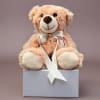 Plush teddy bear with a white ribbon sitting on a box