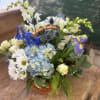 Mixed bouquet in a terracotta basket with blue hydrangea, white daisies, and purple iris