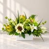 White and green floral arrangement in a rectangular white vase