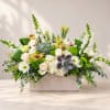 Mixed floral arrangement in a rectangular wood box with white and green blooms