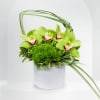 Green orchid arrangement in a white textured pot
