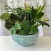 Mixed green houseplants arranged in a turquoise bowl planter