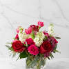 The Darling

A charming mix of lush red and hot pink roses, soft