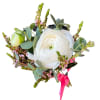 White ranunculus boutonniere with pink ribbon and greenery