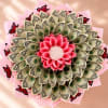 Handmade and delightfully unexpected, this money-bringing bouquet is a playful gift for
