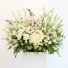 XL Funeral Arrangement Base for under casket - Please order at least