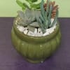Succulent arrangement in a green ceramic pot with white stones
