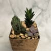 Small succulent arrangement in a square wooden planter with decorative stones