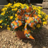 Large mum plant in a 14 inch container. Yellow, bronze, or dark