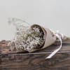 Bouquet of white baby's breath wrapped in brown paper with a white ribbon