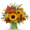 Stunning sunflowers evoke thoughts of sweet sunshine and crisp fall air. This