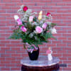 Mixed pink and white roses in a dark vase with a small figurine beside it