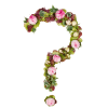 Floral question mark made of pink and cream blossoms with green leaves