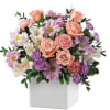 Mixed pink, purple, and white flowers in a white square vase