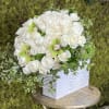 White rose arrangement in a white textured vase with trailing ivy