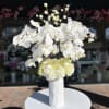 White orchid arrangement in a tall white vase