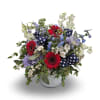 Bright swaths of red, blue, white, and soft lavender make this mixed-color