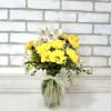 A petite display of yellow daisies and white alstroemeria.