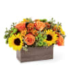 Orange roses and yellow sunflowers in a rectangular wood box