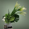 White calla lilies and orchids in a square vase with succulents