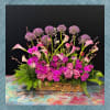Pink and purple floral arrangement with calla lilies, orchids, and roses in a wooden container