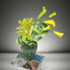 Yellow-green orchids in a glass vase on patterned tiles