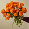 Sublimely orange and long-lasting marigolds bring a subtle frill and ritual to