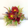 A lovely cube arrangement packed with assorted fall texture and color! 