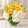 Yellow roses and white hydrangeas in a clear glass vase