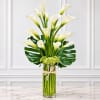 White calla lilies in a tall glass vase with green tropical leaves