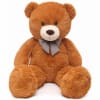 Brown teddy bear with a checkered bow tie on a white background