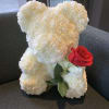 White rose teddy bear with a red rose accent