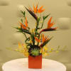 Ceramic Orange Box  design with Birds of Paradise gold Orchids 